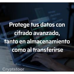 Seguridad y Almacenamiento Cifrado para despachos y asesorías