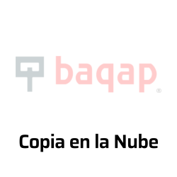 Copia en la nube