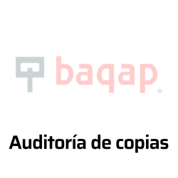 Auditoría de copias